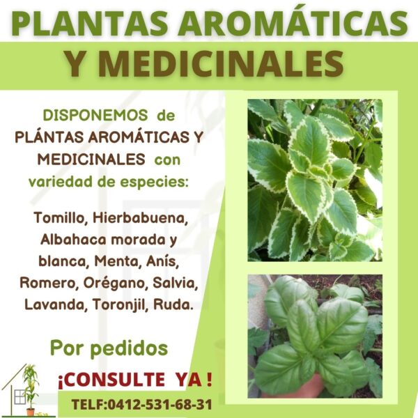 Plantas medicinales y ornamentales
