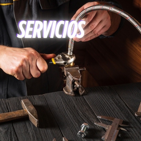 Servicios