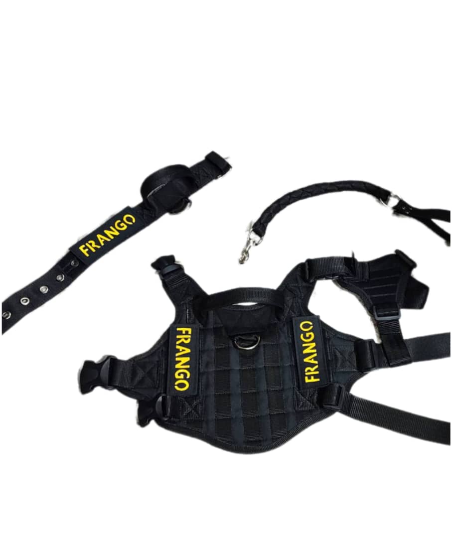 pechera táctica personalizada, Collar táctico personalizado grande, Paseador trenzado.