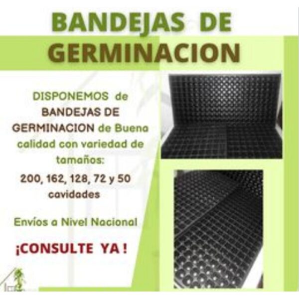 BANDEJAS DE GERMINACIÓN